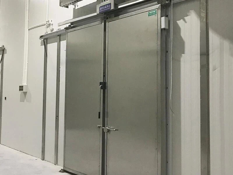 Electric Double Sliding Gate